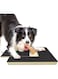 SPAKITCHCE Dog Nail Scratch Board File - Scratcher Pad Mat Square Scratching Scratchboard Scratchpad Sandpaper Treat Trimming Emery Sand Trimmer Puppy &hellip;