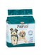 PET PAD SMALL(60x60cm)-10 count