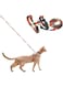 pidan Cat Harness and Leash Set, Cats Escape Proof - Adjustable Kitten Harness for Large Small Cats, Lightweight Soft Walking Travel Petsafe Harness (Multicolor)