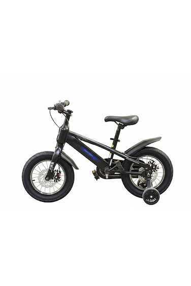 Raccoon Bicycle 18-Inch Black