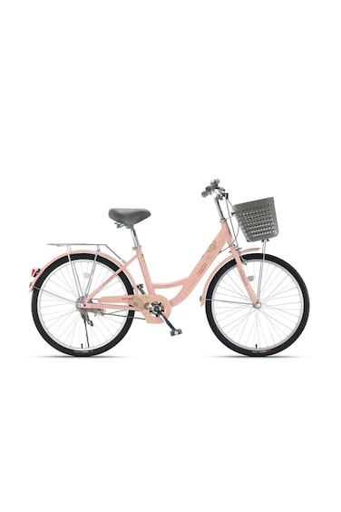 Colorland Qitong Bicycle With Basket 20-Inch Pink