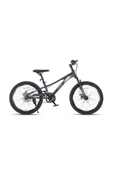 Raccoon Bicycle 22-Inch Grey
