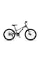 Raccoon Bicycle 22-Inch Grey