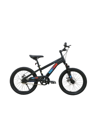 Raccoon Bicycle 20 Inch Black TN24R67 20IN