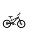 Raccoon Bicycle 20 Inch Black TN24R67 20IN