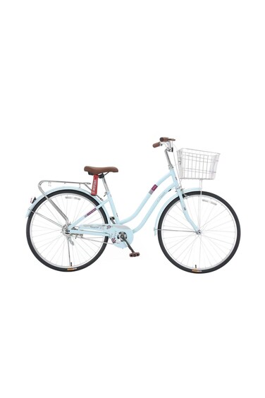 Colorland Veleon Bicycle With Basket 24-Inch Blue