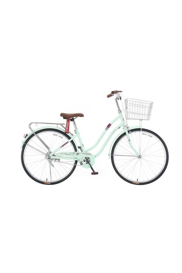 Colorland Veleon Bicycle With Basket 24-Inch Green