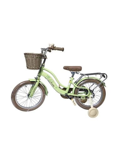 Raccoon Bicycle With Basket 14 Inch Green TN24R74 14IN