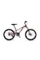 Raccoon Bicycle 22-Inch Red