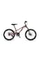 Raccoon Bicycle 22-Inch Red