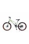 Colorland Qitong Bicycle 22-Inch Green