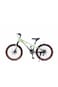Colorland Qitong Bicycle 22-Inch Green