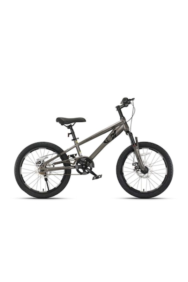Colorland Qitong Bicycle 18-Inch Grey