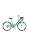 Colorland Bicycle With Basket 20-Inch Green