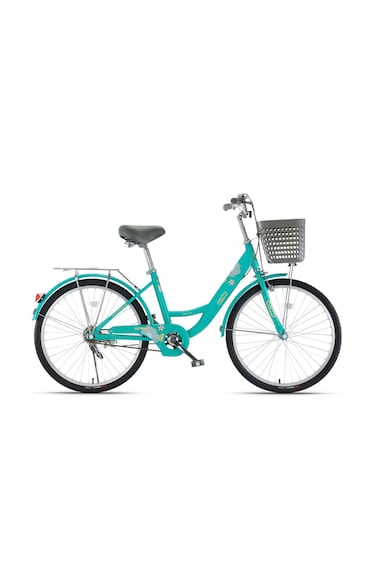 Colorland Bicycle With Basket 20-Inch Green