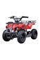 Colorland Quad Bike Electric ATV 36V Red TG-250/PR 025-01