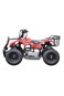 Colorland Quad Bike Electric ATV 36V Red TG-250/PR 025-01