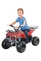 Colorland Quad Bike Electric ATV 36V Red TG-250/PR 025-01