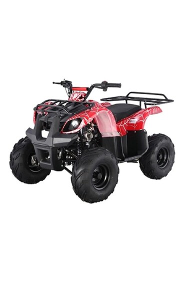 Colorland Quad Bike Electric ATV 36V Red TG-250/PR 025-01