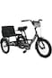 Lovely Baby Vaux Tricycle 12" Back Seat Black