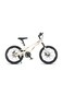 Raccoon Bicycle 22-Inch Beige