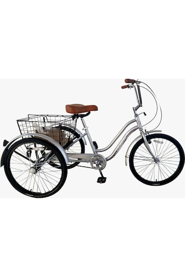 Mogoo Hauler Tricycle Basket 24 Silver