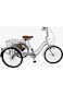 Mogoo Hauler Tricycle Basket 24 Silver