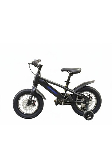 Raccoon Bicycle 14-Inch Black