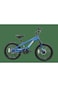 Raccoon Bicycle 20-Inch Blue