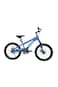 Raccoon Bicycle 20-Inch Blue