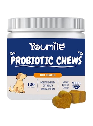 （A bottle）Pet Probiotic Chewable tablets A variety of enzyme blends to promote intestinal digestion health supplements for dogs