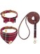 EXPAWLORER Bow Tie Dog Collar and Leash Set Classic Plaid Adjustable Dogs Bandana and Collars with Bell for Puppy Cats 3 PCS, Ideal Gift for Pet