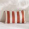 Home Patio Stripe Indoor/Outdoor Cushion - Rust