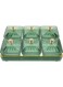 Dried Fruit Tray with Lid 6 Compartment Candy Nut Serving Container Appetizer Tray Snack Box Food Storage Box Divided Fruit Tray Platter for Party Family Dinner Green