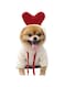 Dog Hoodie, Dog Basic Sweater Coat Cute Shape Warm Jacket Pet Cold Weather Clothes Outfit Outerwear for Cats Puppy Small Largr Dogs, Fleece Sweater Cartoon Clothing (Red,Medium)