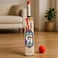 Fitto CA Cricket Bat for Tennis Ball - Lightweight Willow Tennis Ball Bat for Kids & Adults, Street Practice Indoor Outdoor