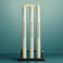Fitto Wooden Stump Display Stand with Spring Base - Rustic Wood Riser for Plants, Cakes, Cupcakes, Photo Props &amp; Table Decor