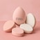 Fitto Assorted Makeup Sponges Pack of 5 - Cosmetic Blending Sponges for Foundation Concealer Contour &amp; Powder