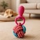 Fitto Pet Rope Toy with Ring Assorted Colors 17 x 8 cm - Dog Chew &amp; Tug Toy for Puppies, Small &amp; Medium Dogs, Cotton Dental Cleaning Fetch Toy