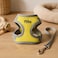 Fitto Pet Harness and Lead Set XS 13.5x10.5cm Adjustable Small Dog Puppy Cat Walking Vest Leash