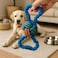 Fitto Blue Cotton Dog Rope Toy 19x9cm - Knotted Tug &amp; Chew Toy for Puppies Small Medium Dogs, Ball Tug Fetch Dental Cleaning