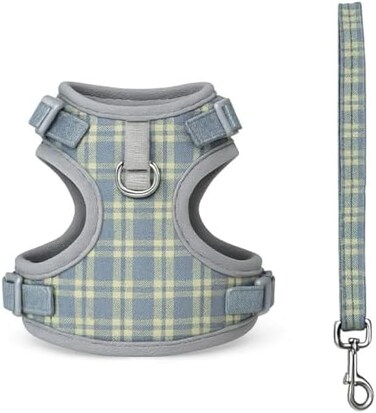 Fitto Small Pet Harness & Lead Set XXXS 14.5x11.5cm - Adjustable Soft Vest Harness with Leash for Hamster, Guinea Pig, Ferret, Rabbit