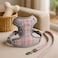 Fitto XS Pet Harness and Lead Set 21x16cm - Small Dog Puppy Cat Harness and Leash Adjustable Soft Walking Harness Vest