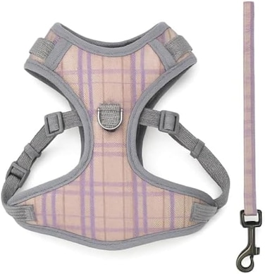Fitto XS Pet Harness and Lead Set 21x16cm - Small Dog Puppy Cat Harness and Leash Adjustable Soft Walking Harness Vest