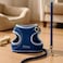 Fitto Small Pet Harness and Lead Set Size S 11.3x7cm Adjustable Nylon Harness and Leash for Small Dogs Puppies Cats