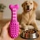 Fitto Dog Bone Toy Pink - Chew &amp; Fetch Toy for Puppies &amp; Small Dogs 16.2 x 4.3 cm, Interactive Pet Chew Bone