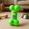 Fitto Dog Bone Toy - Green 14x7 cm Rubber Chew Toy for Dogs &amp; Puppies, Durable Interactive Fetch &amp; Chew Toy, Non-Toxic Dental Care