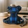 Fitto Blue Pet Harness Size S 21X21cm Adjustable Soft No-Pull Small Dog Puppy Cat Harness