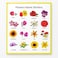 Fitto Floral Educational Stickers - Flower Stickers for Kids, Teacher Reward Stickers, Classroom, Scrapbook & Planner Craft Stickers