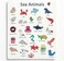 Fitto Sea Animals Educational Stickers for Kids – Ocean Animal Stickers for Preschool, Classroom Rewards & Learning Activities
